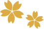 decoration